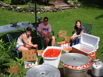 washing and sorting plum tomatoes before canning