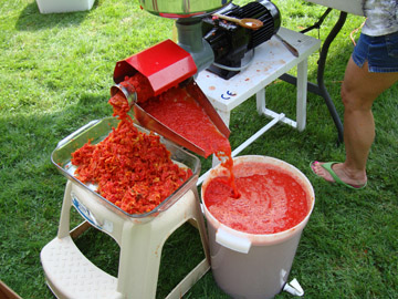 running sauce tomatoes through an electric grinder before canning