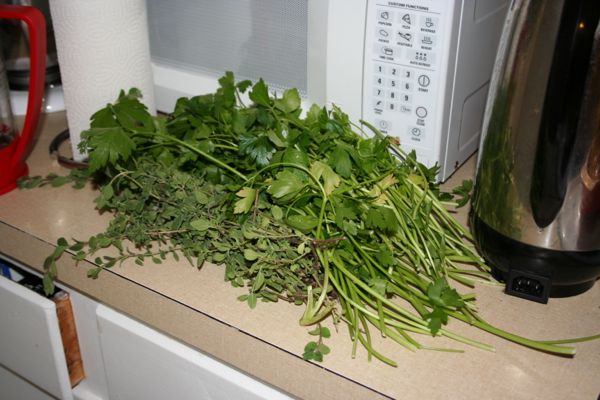 fresh-herbs-from-window-garden