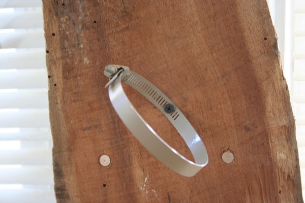 hose-clamp-mounted-to-wooden-herb-garden