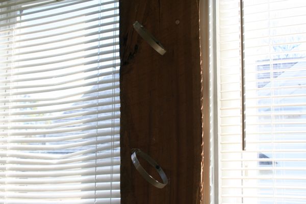 hose-clamps-mounted-to-window-herb-garden