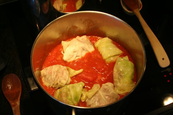 fresh stuffed cabbage simmering in the pot