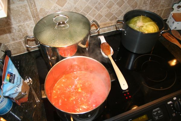 cooking tomato sauce on the stovetop