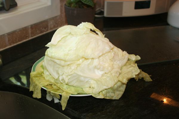 cooked green stuffed cabbage