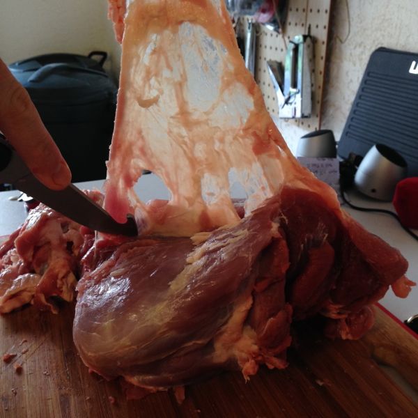 butchering-wild-hog-3